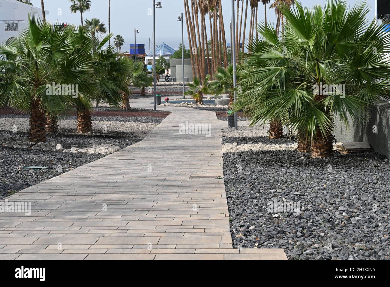 A walkway of stone blocks encased with volcanic rock and palm trees through Costa Adeje on the Island of Tenerife Stock Photo
