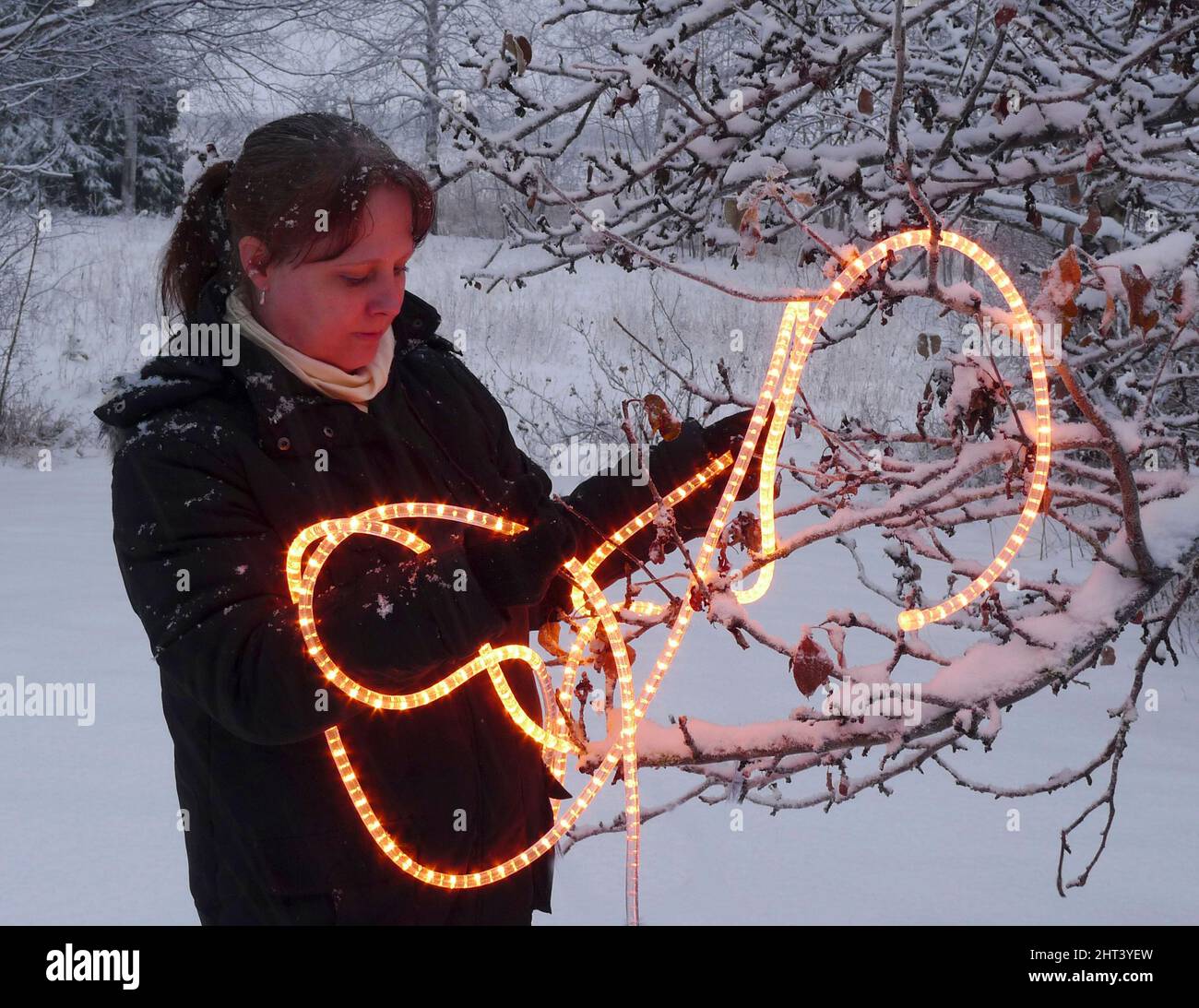 Woman sets up lighting in a tree Stock Photo