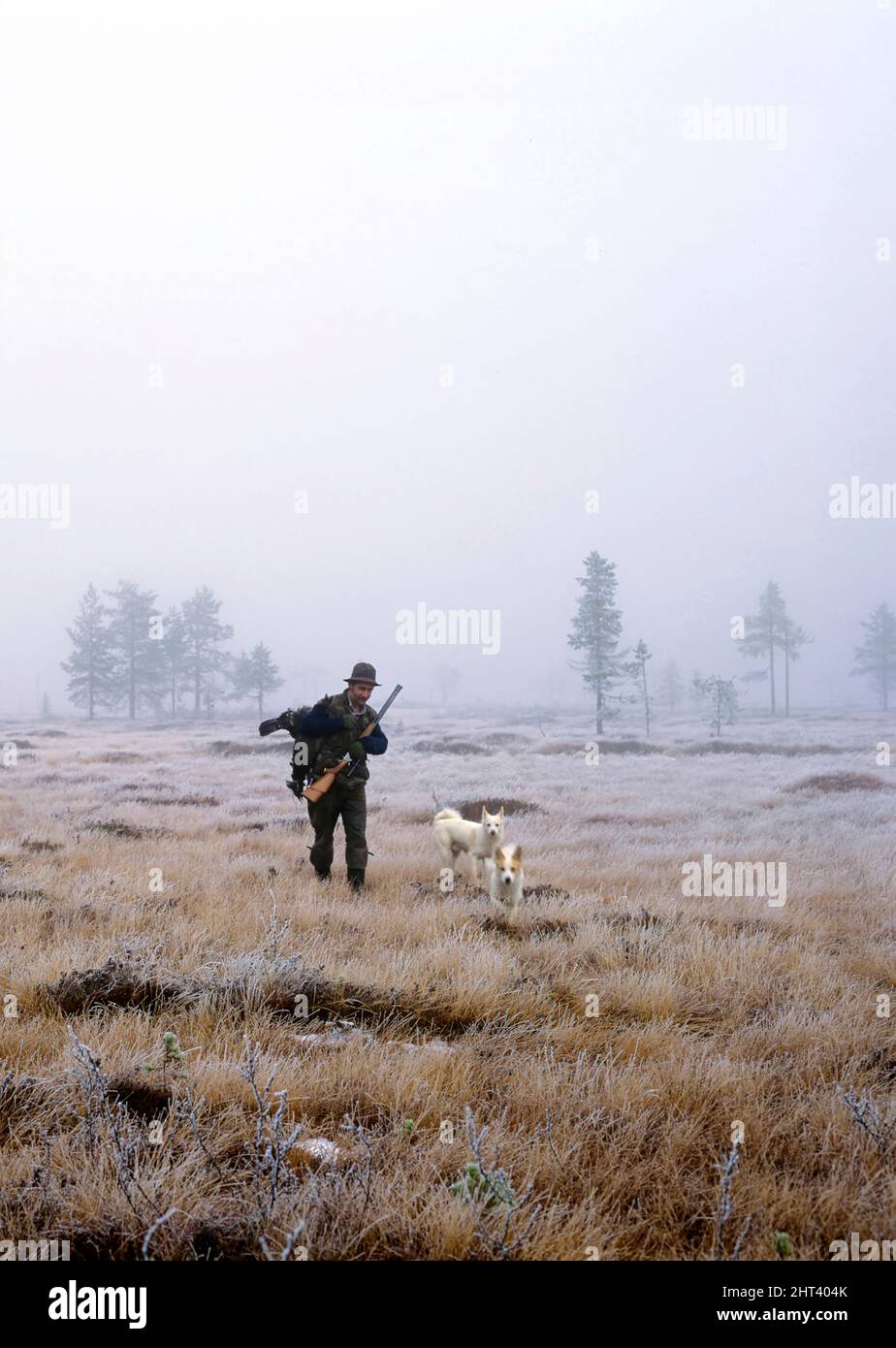 Hunter with his hunting dogs on a mire Stock Photo