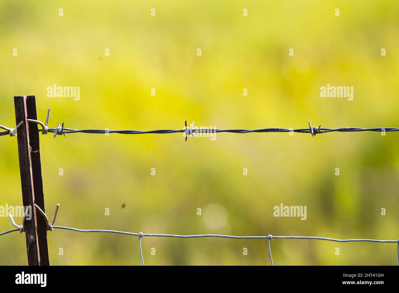 Farming death hi-res stock photography and images - Alamy