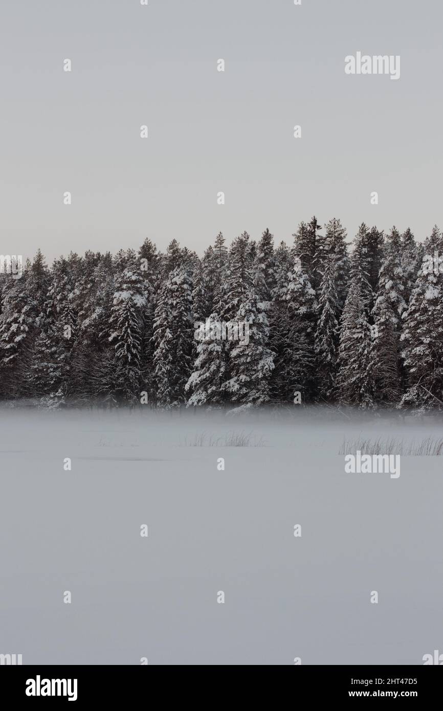 Beautiful shot snowy scenery hi-res stock photography and images - Alamy