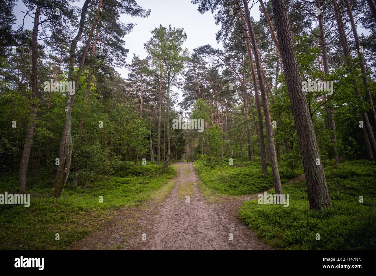 Beautiful shot park light hi-res stock photography and images - Alamy
