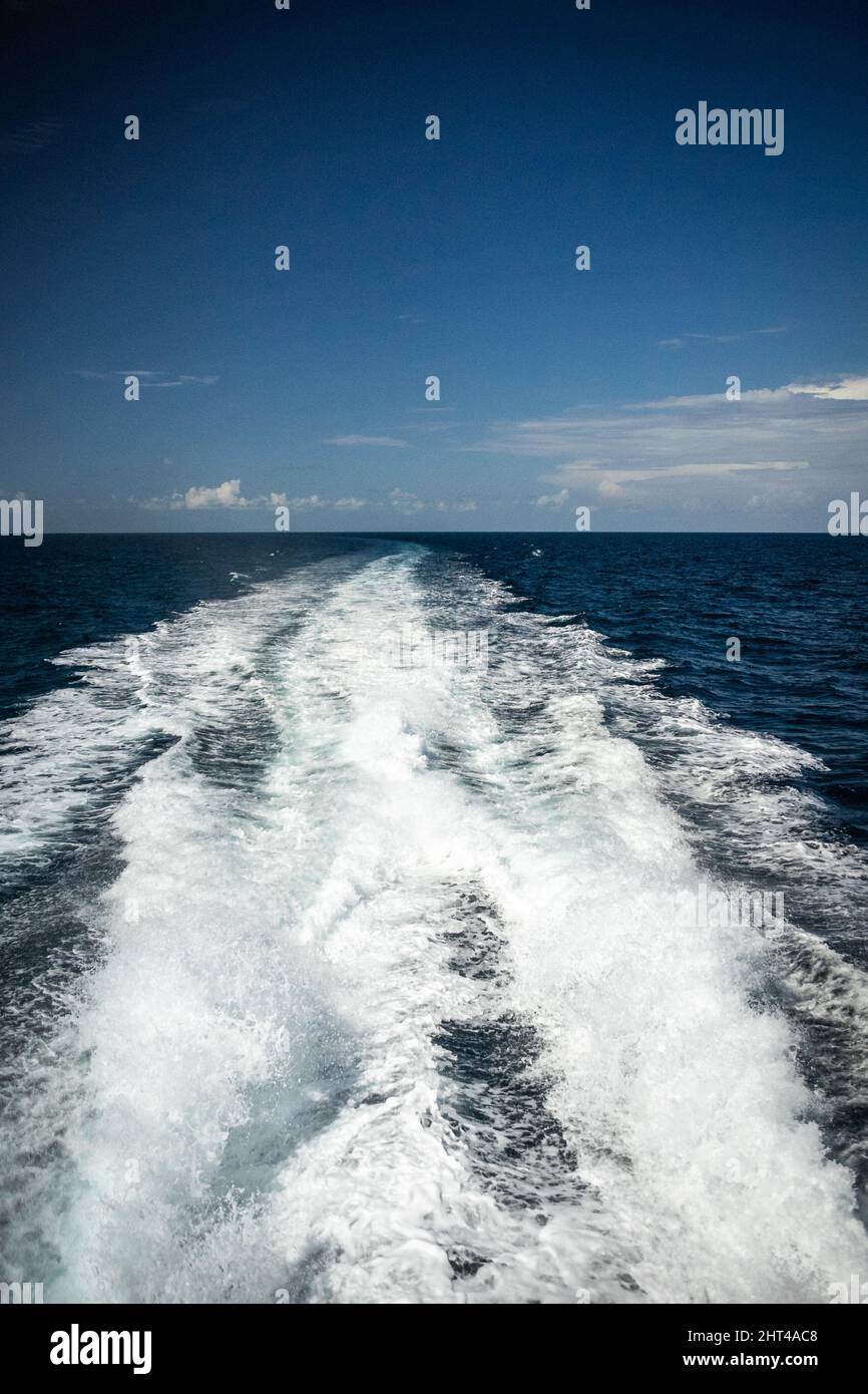 Vertical shot beautiful foamy hi-res stock photography and images - Alamy