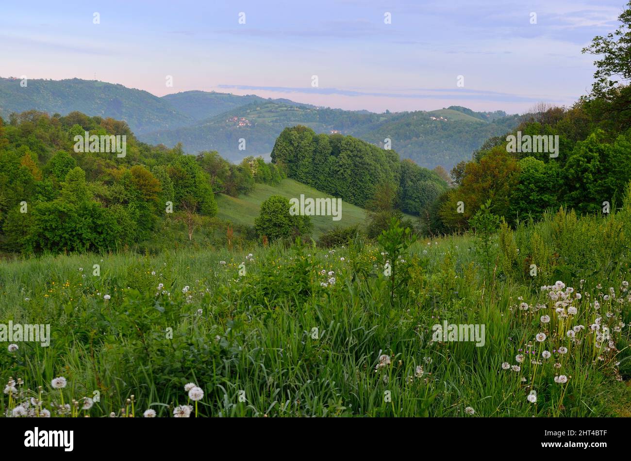 Spring Breathaking Breathtaking spring view field hi-res stock photography and images - Alamy