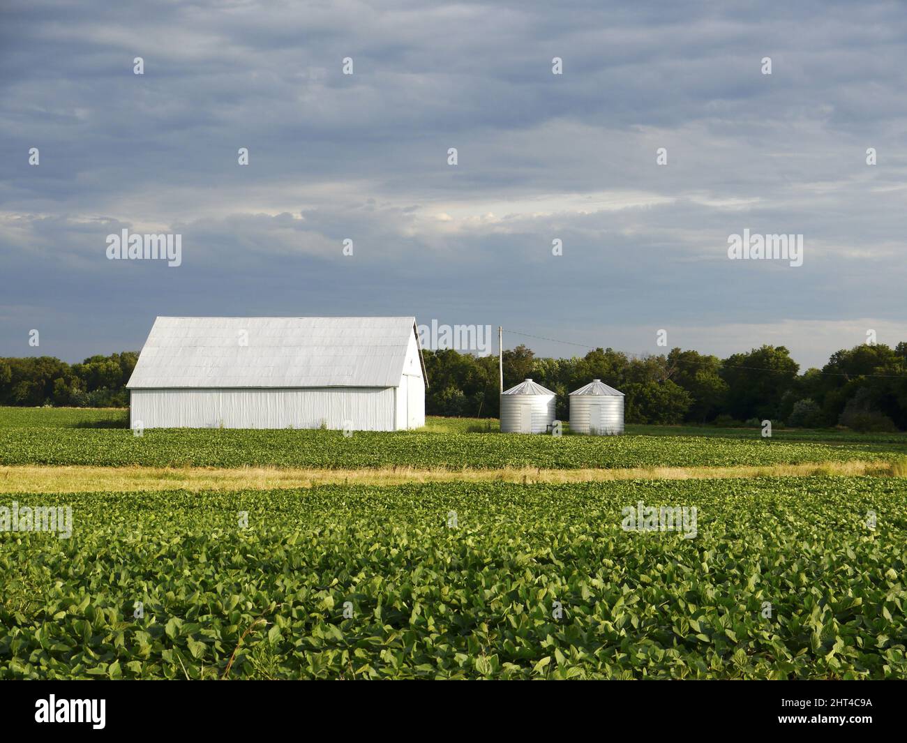 Soybean farm in Missouri with an equipment shed and grain bins Stock ...