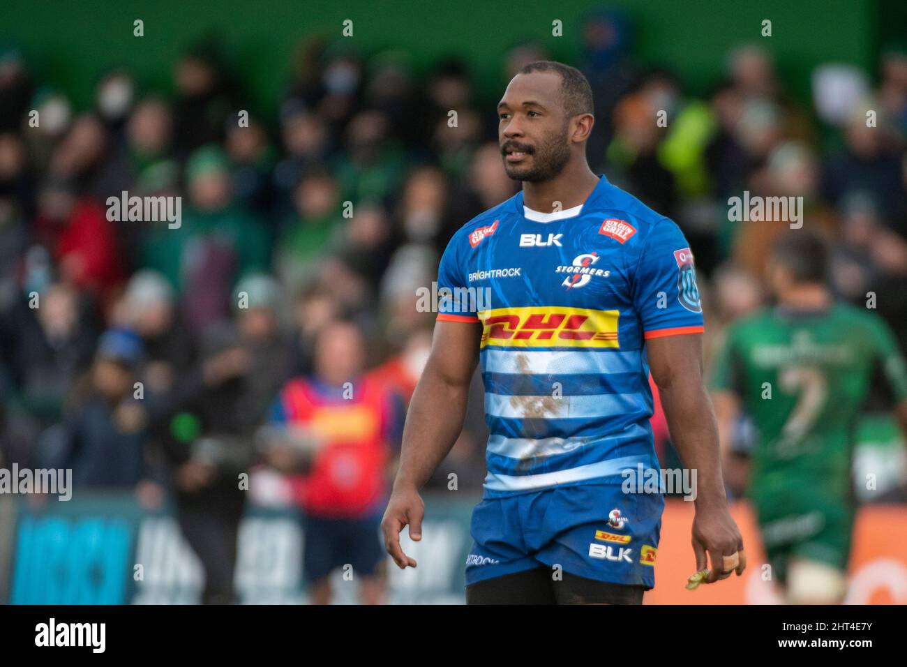 Stormers rugby 2022 hi-res stock photography and images
