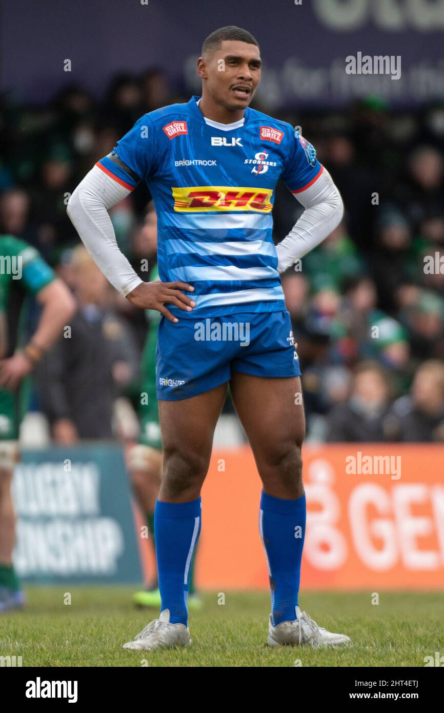 Damian willemse stormers 2022 hi-res stock photography and images - Alamy