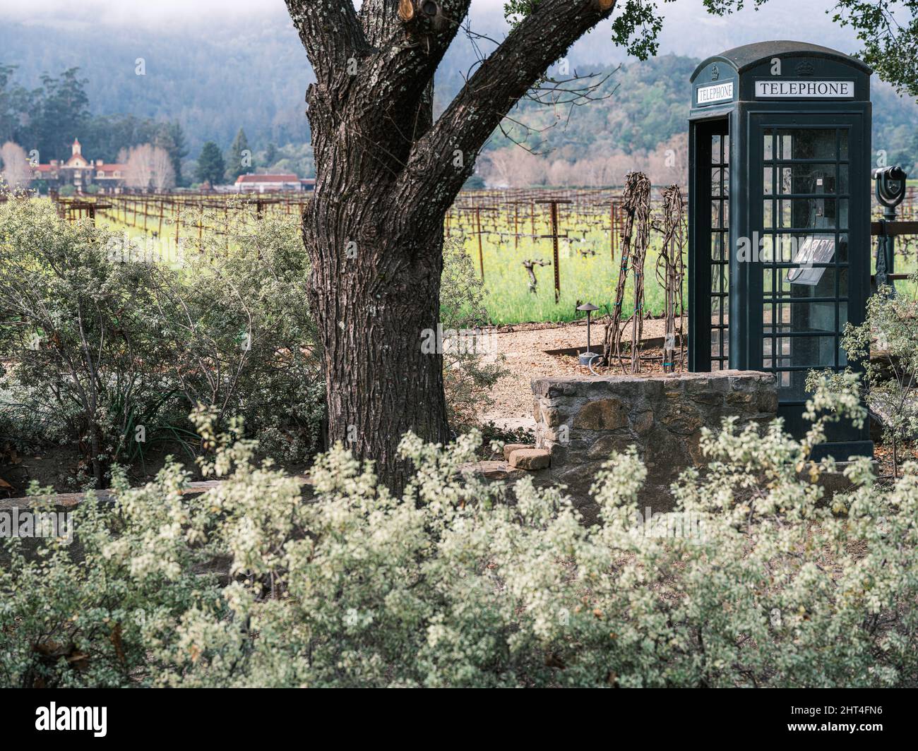 A picturesque vineyard setting with an old fashioned telephone box, Napa Valley, California. Stock Photo