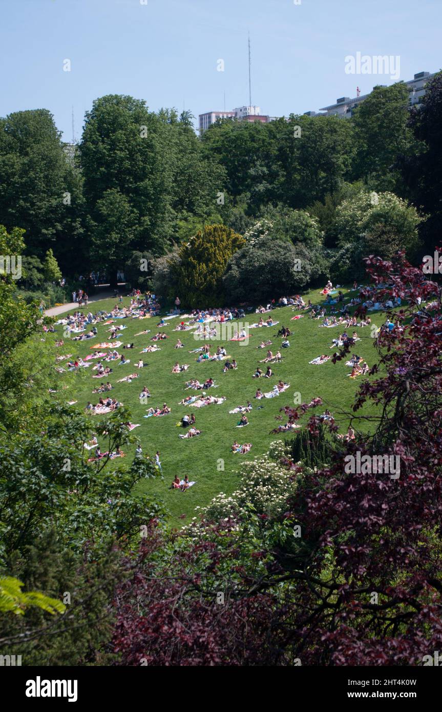 Vertical Shot Of Sunbathers In An Urban Park In Paris Stock Photo - Alamy