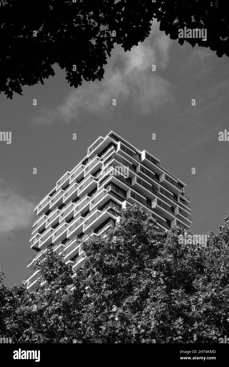 Grayscale of the high-rise One Forty West building framed with foliage in Frankfurt am Main Stock Photo