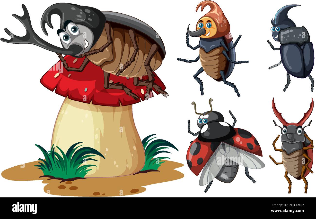 Set of different insects and beetles in cartoon style illustration ...