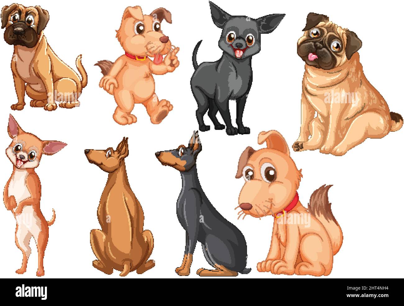 Group of dogs different breeds Stock Vector Images - Alamy