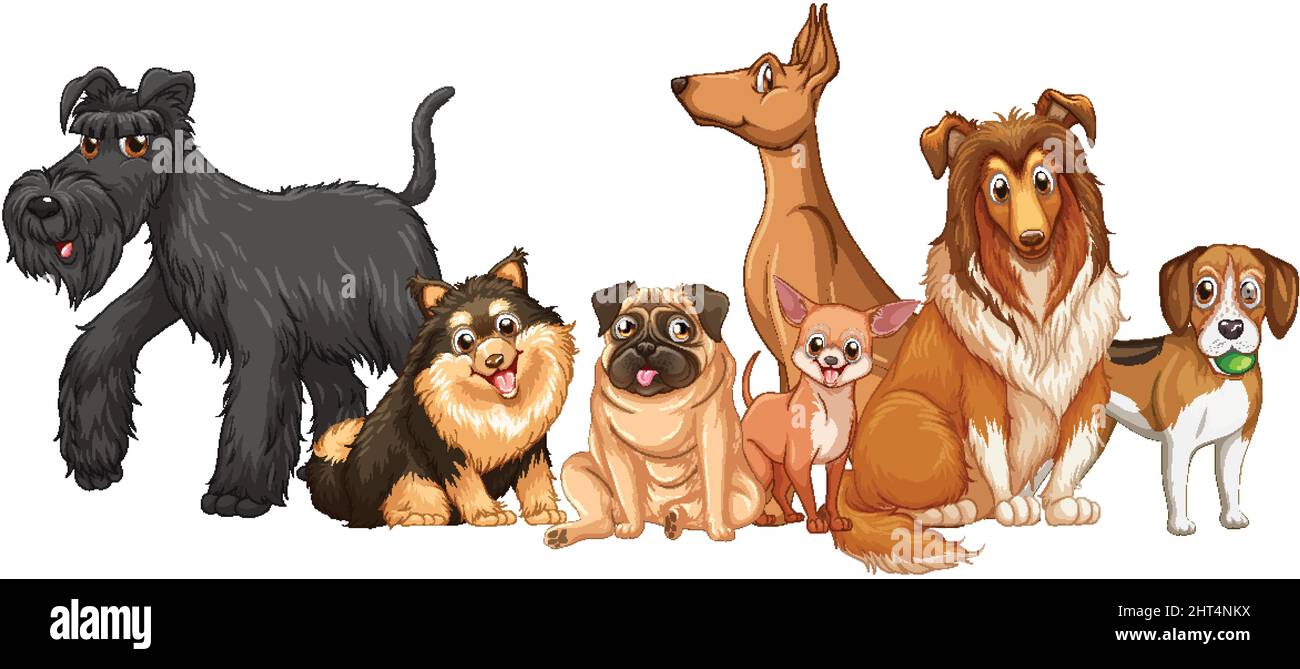 Group of dog breeds on white background illustration Stock Vector Image ...