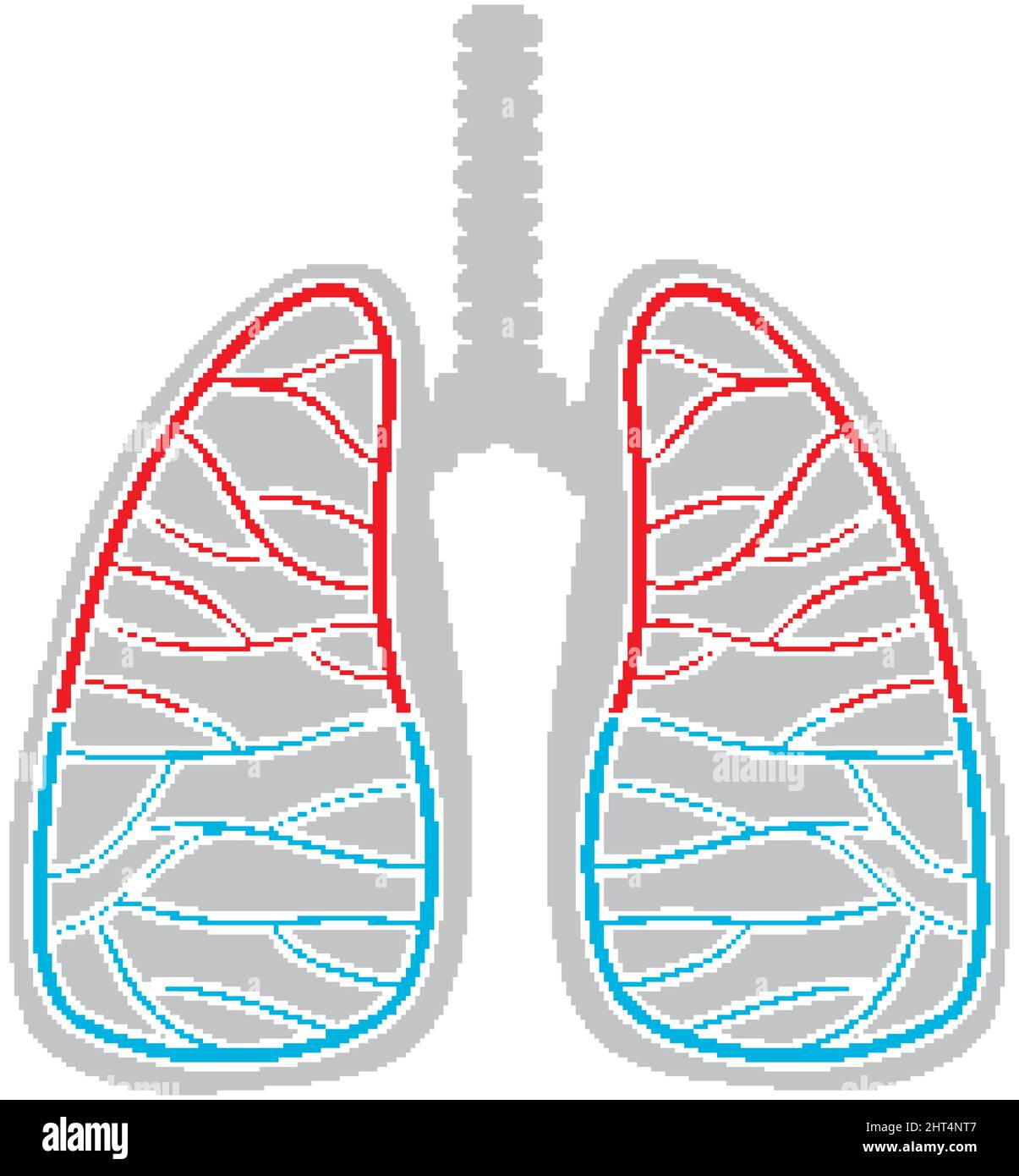Human lungs icon on white background illustration Stock Vector Image ...