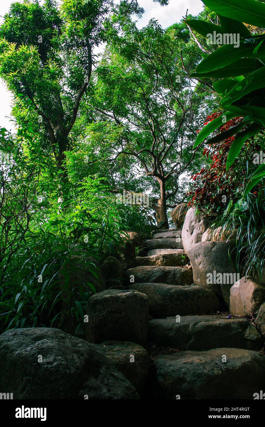 Stairs in garden with lush nature near Buddhist Temple in Naha City, Okinawa Japan Stock Photo