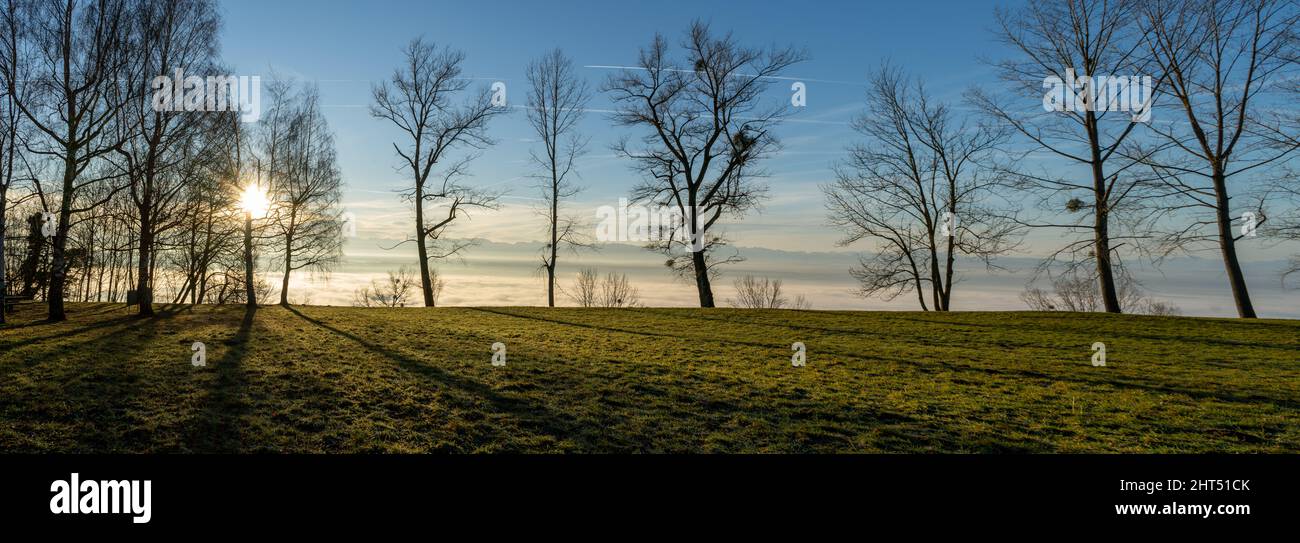 Panoramic shot of trees in a rural area on blue sky background in Nova Friburgo, Brazil Stock Photo