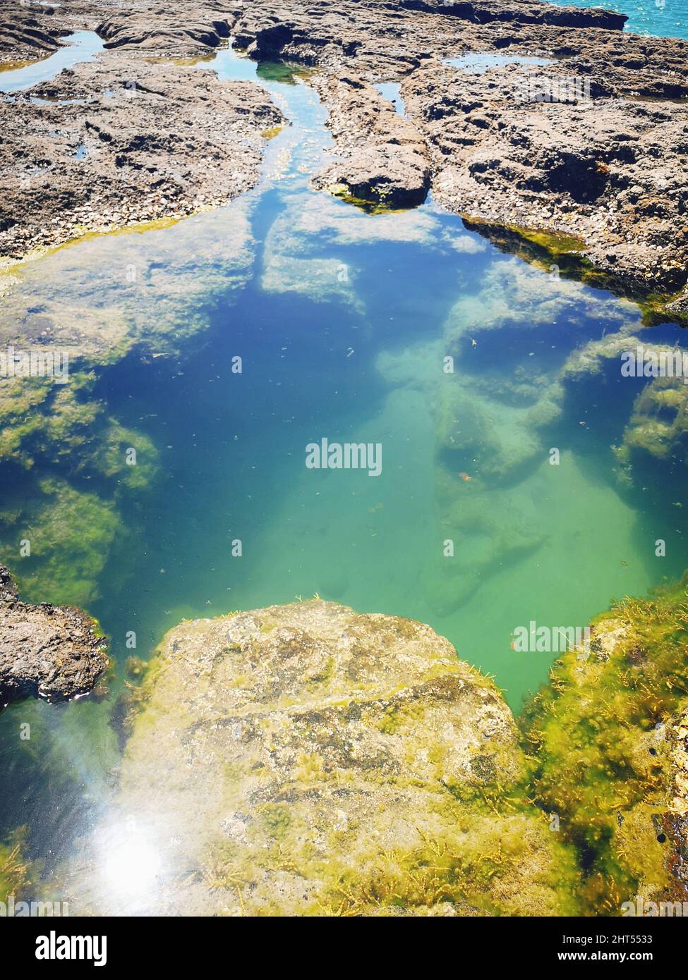 Vertical shot of natural rock pools of the Anchor Bay in Auckland, New ...