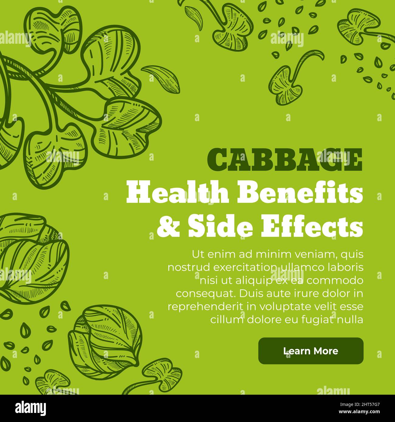 Cabbage health and benefits side effects vector Stock Vector Image Art Alamy