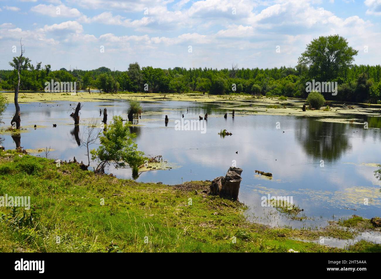 Scenic view of tranquil lake under a cloudy sky Stock Photo - Alamy