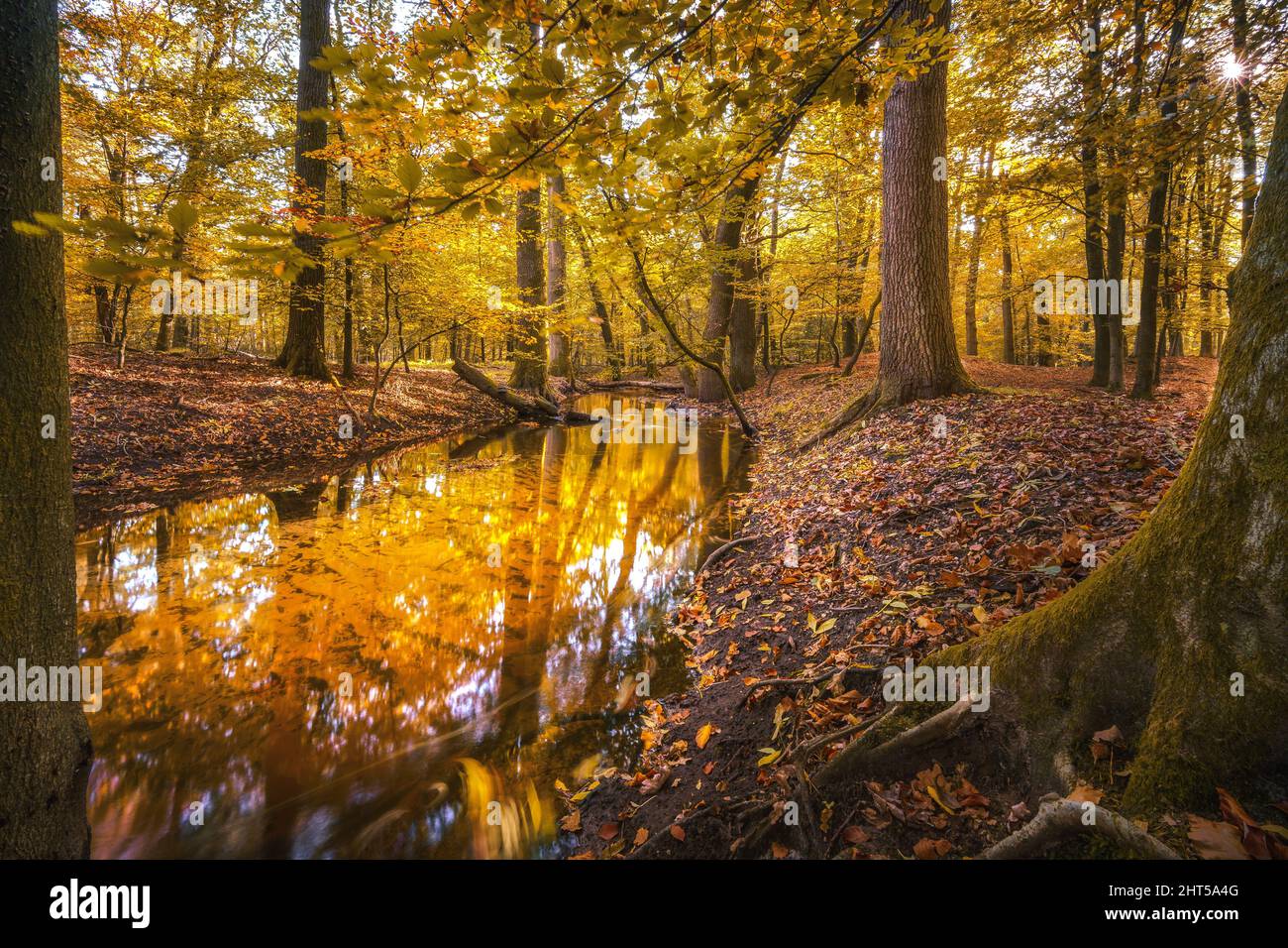 Bright colors in landscape hi-res stock photography and images - Alamy