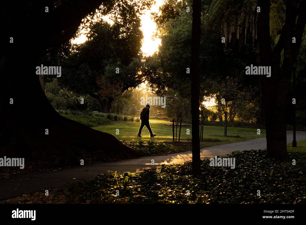 Man walking hyde park hi-res stock photography and images - Alamy