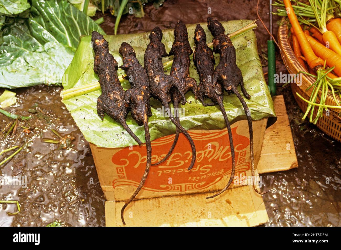 Roasted field rats, providing a source of protein in landlocked