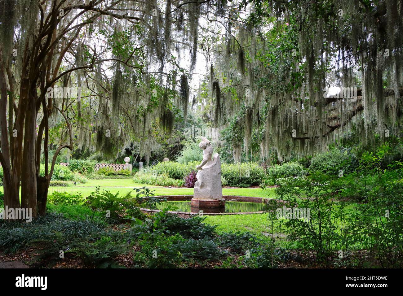 Natural view of flowering trees in a park Stock Photo - Alamy