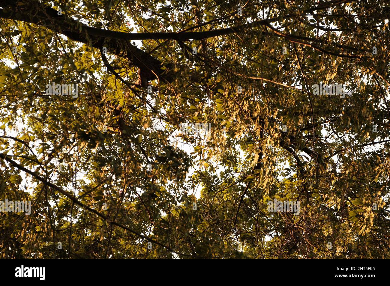 Sunset at Nehru Park, situated in the Chanakyapuri Diplomatic Enclave