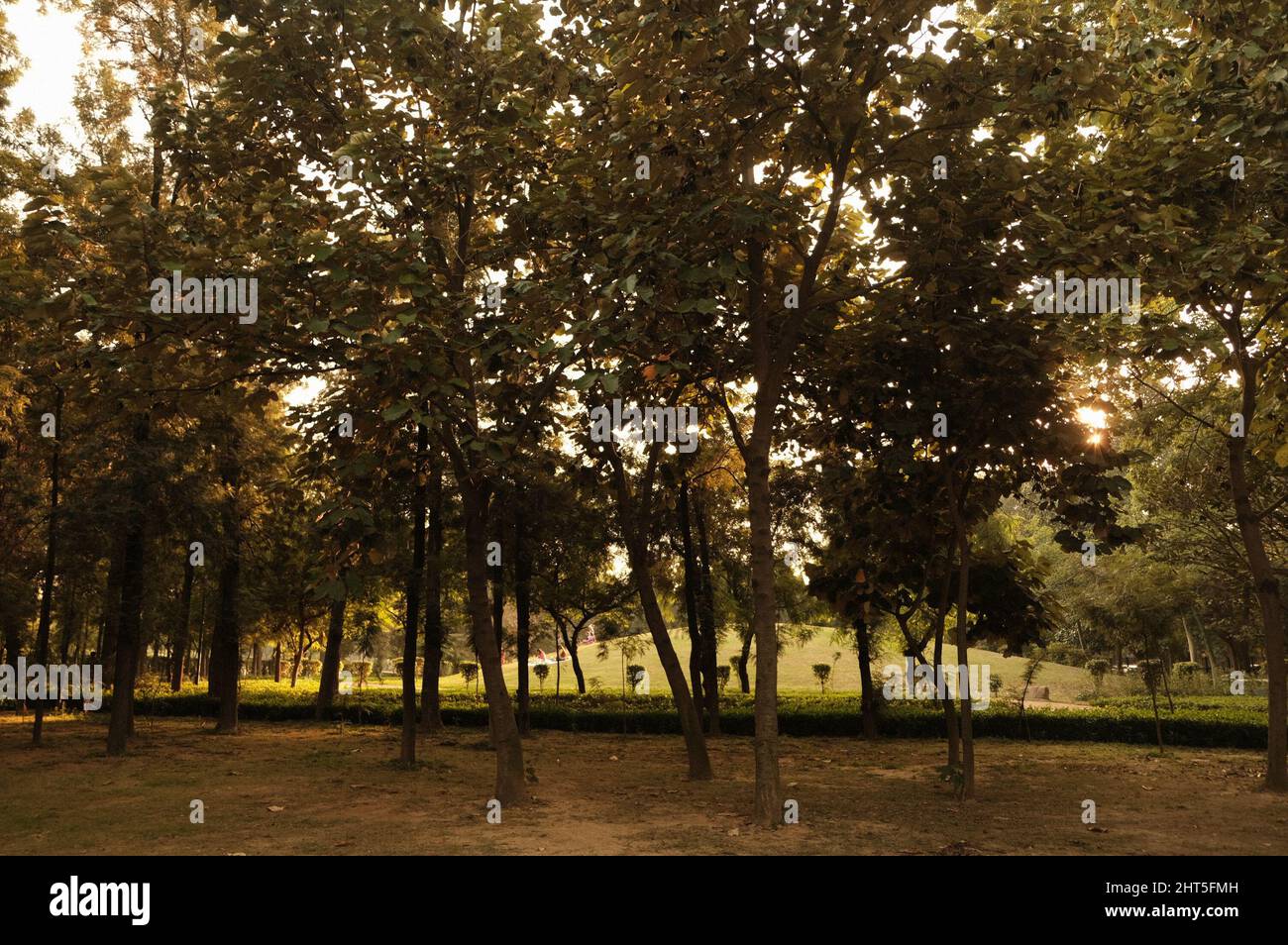 Sunset at Nehru Park, situated in the Chanakyapuri Diplomatic Enclave
