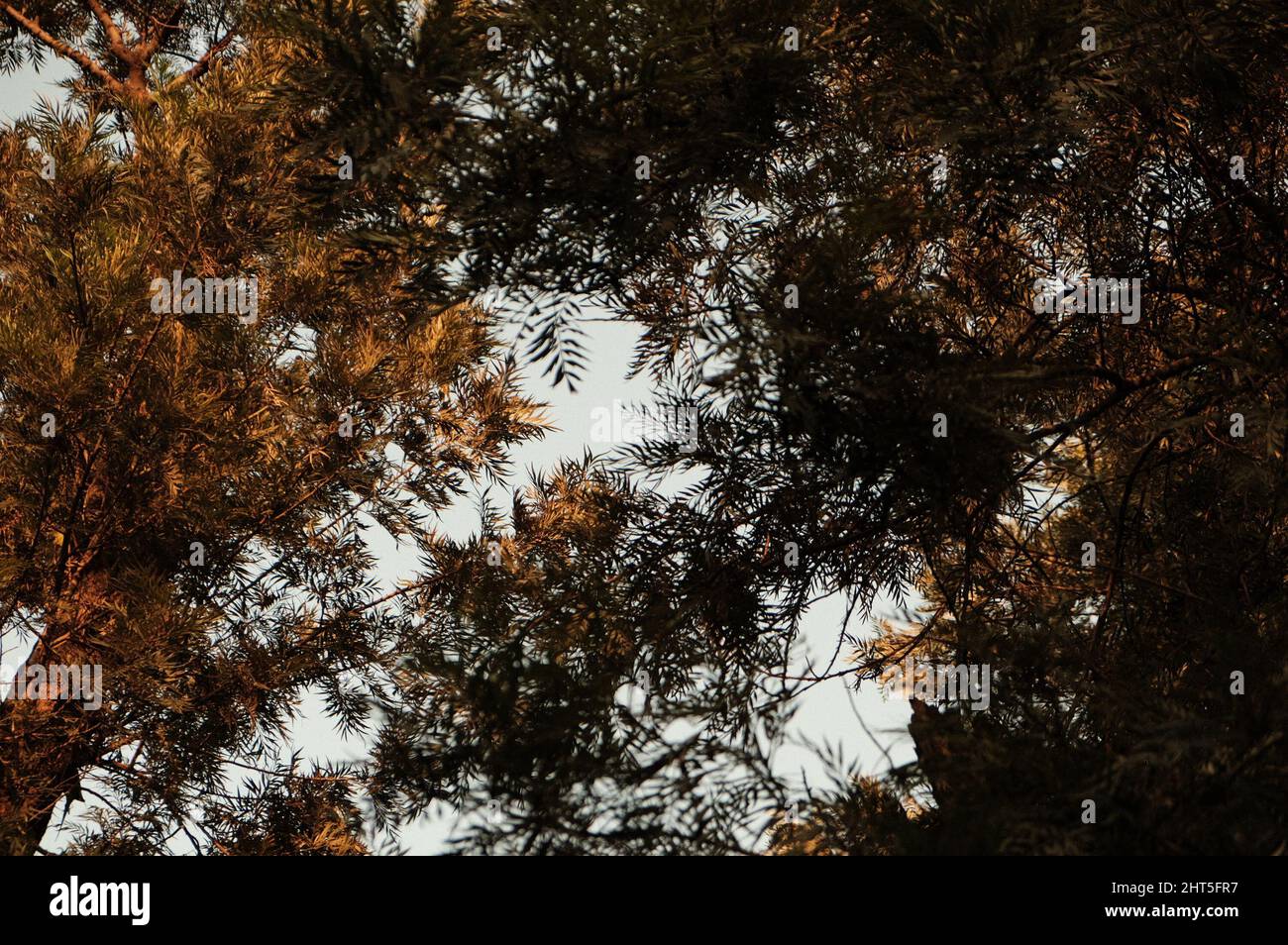 Sunset at Nehru Park, situated in the Chanakyapuri Diplomatic Enclave