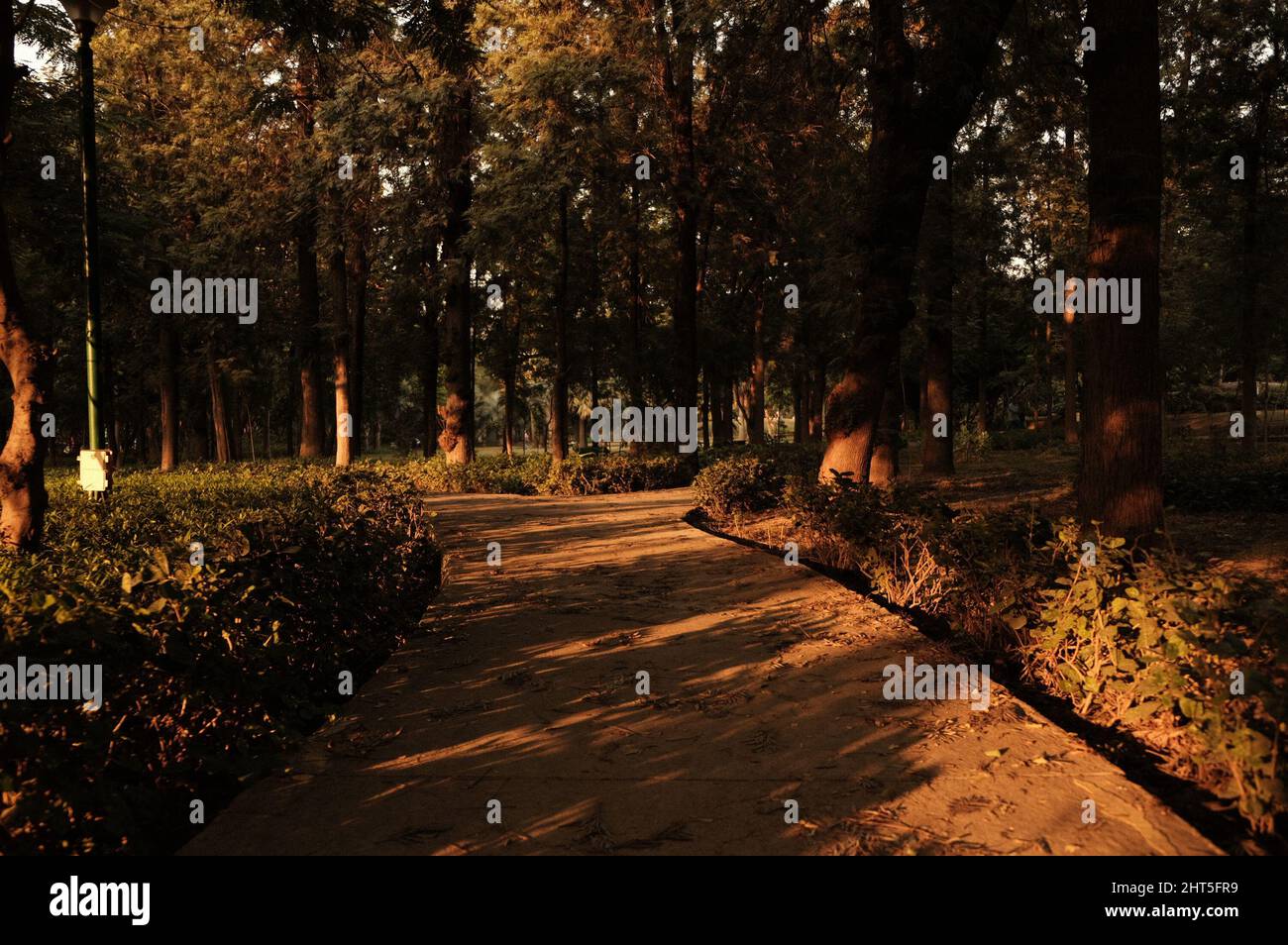 Sunset at Nehru Park, situated in the Chanakyapuri Diplomatic Enclave