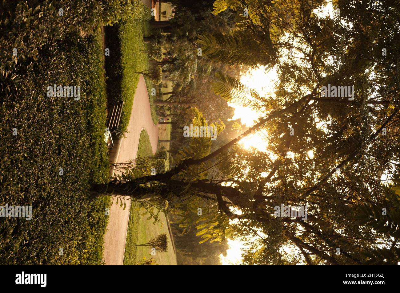 Sunset at Nehru Park, situated in the Chanakyapuri Diplomatic Enclave
