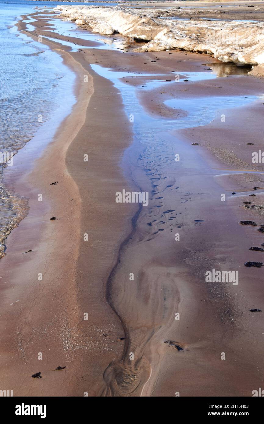 Vertical photo of salt rock formation on a sea shore Stock Photo Alamy