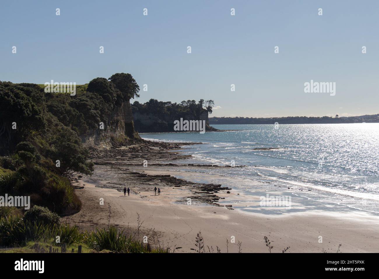 The view of green field, cliff and blue sea on background, Long Bay