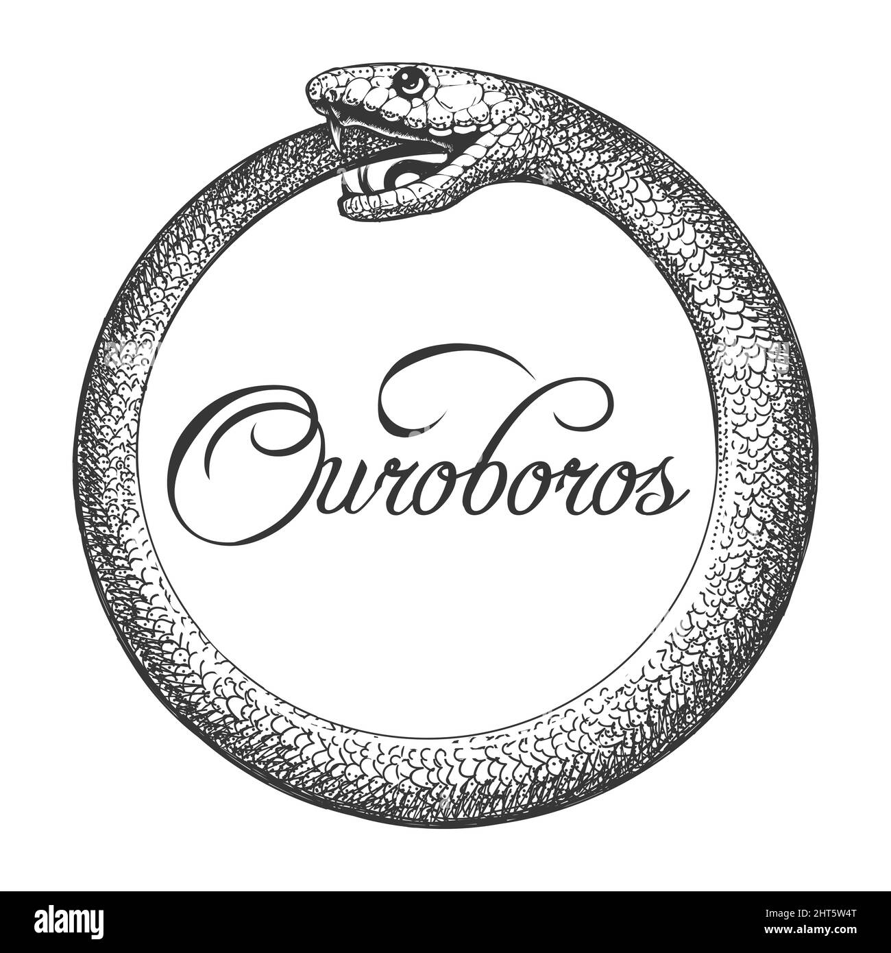 Tattoo of Ouroboros Snake Ancient Esoteric Symbol drawn in engraving style isolated on white. Vector Tattoo. Stock Vector