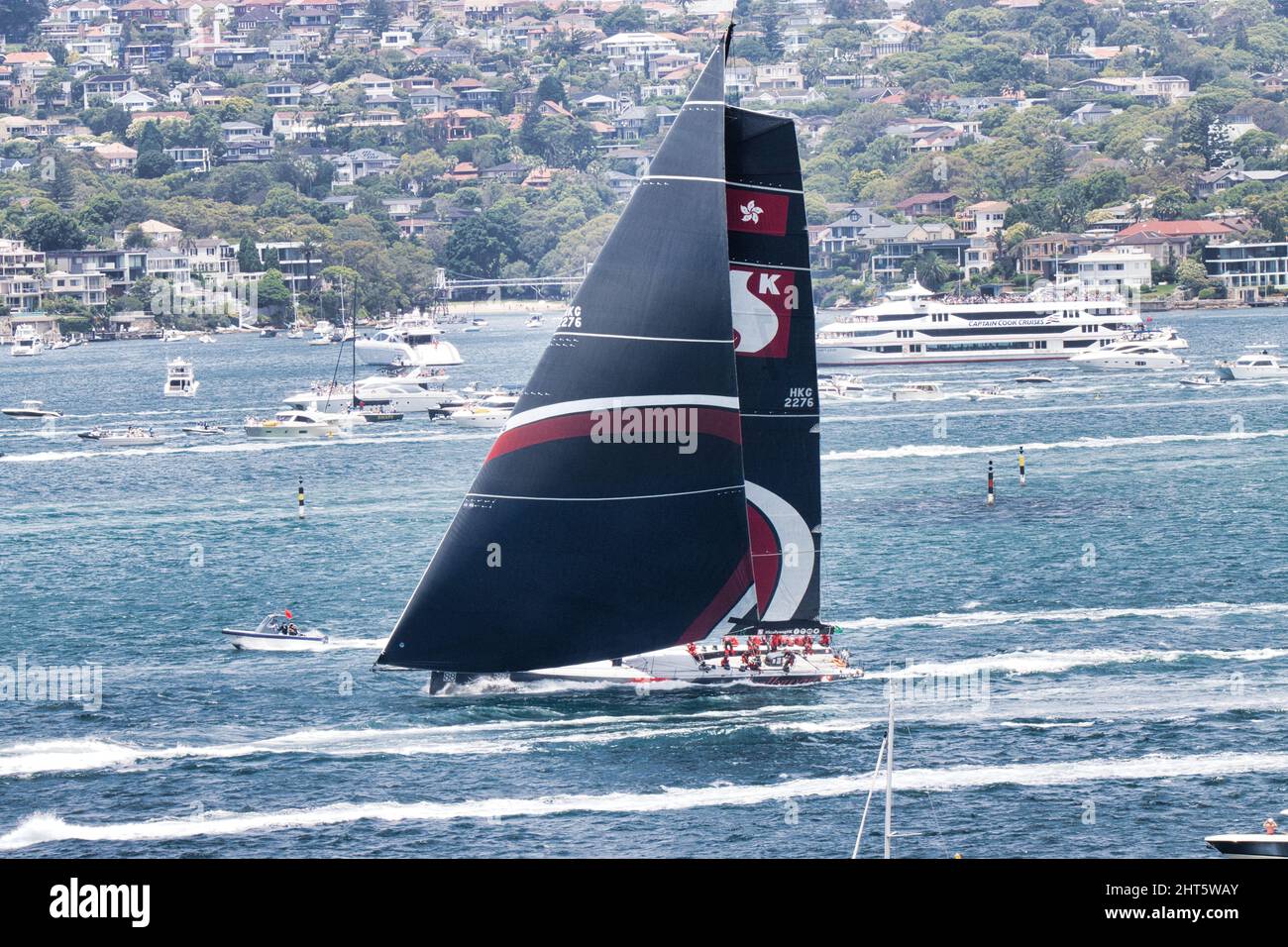 Maxi yacht racing on Sydney Harbour during the 2021 Sydney to Hobart Yacht Race. Stock Photo