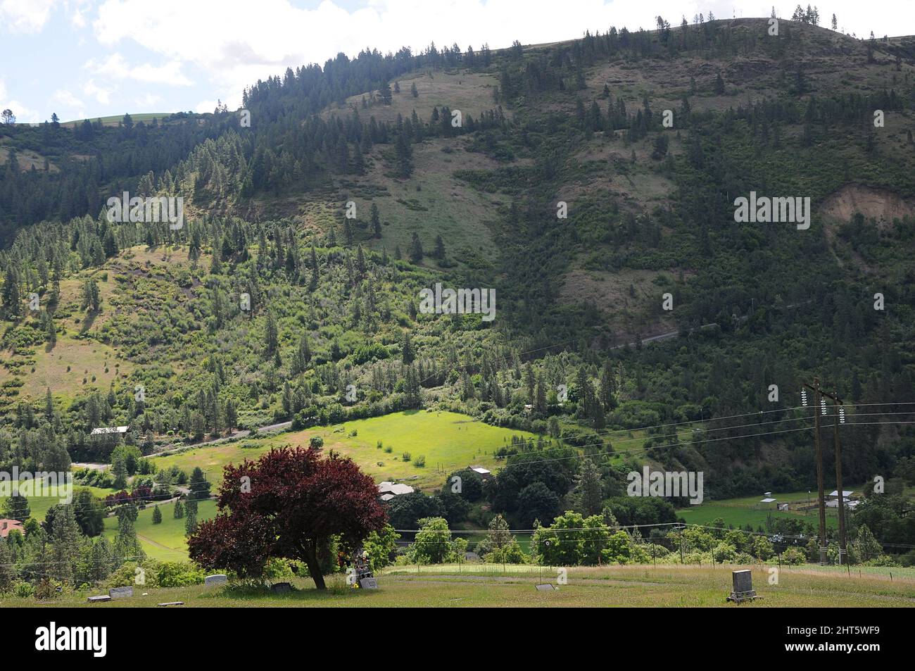 juliaetta /Latah county /Idaho Business and agriculture life in