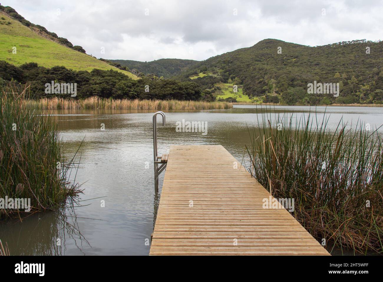 The view of wooden deck at lake Wainamu, New Zealand Stock Photo Alamy