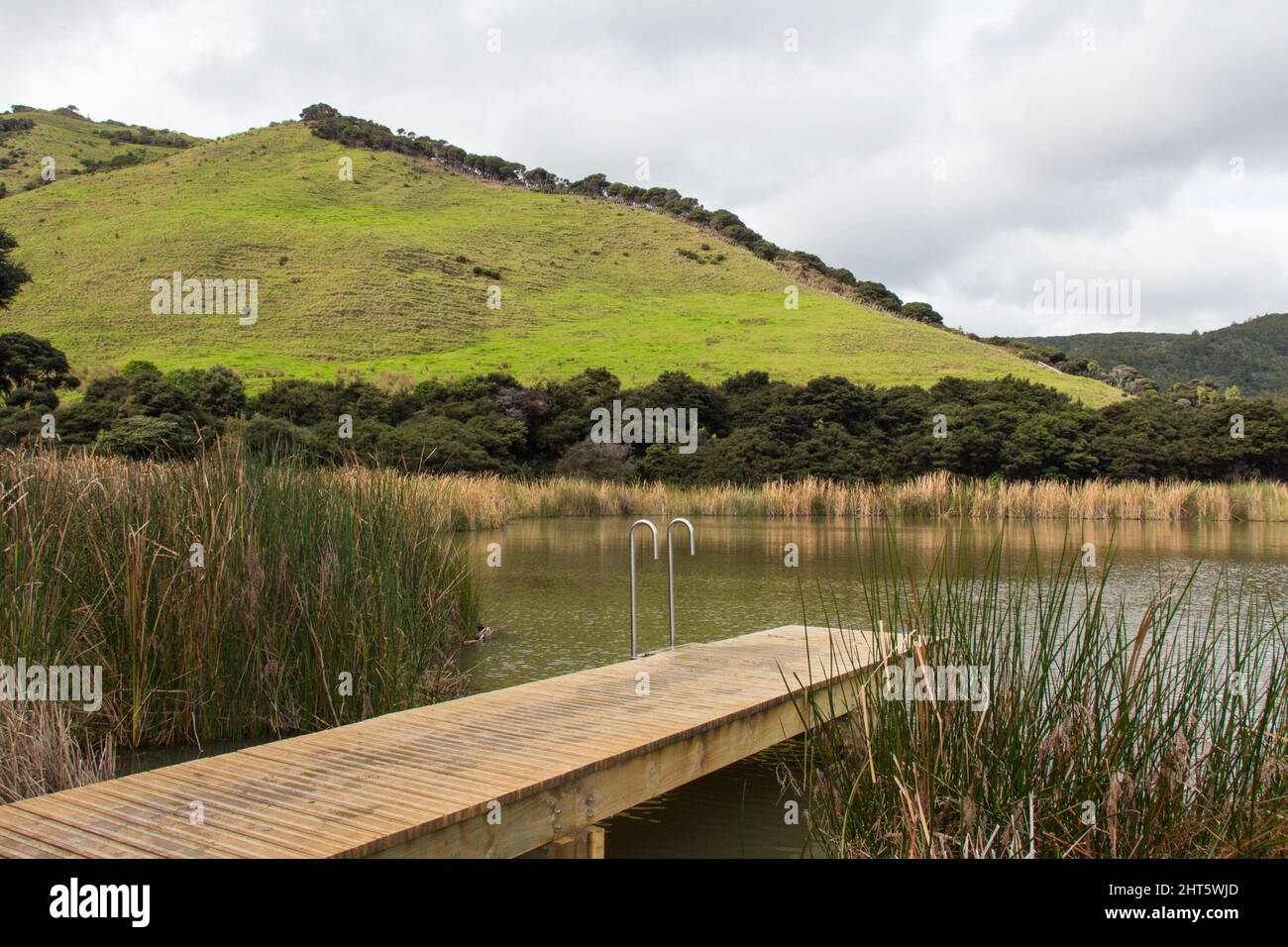 The view of wooden deck at lake Wainamu, New Zealand Stock Photo Alamy
