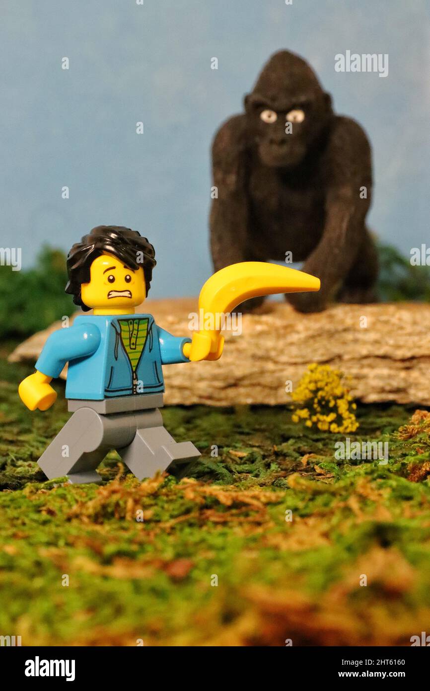 Vertical shot of a male Lego figurine in the jungle with an orangutan toy. Stock Photo