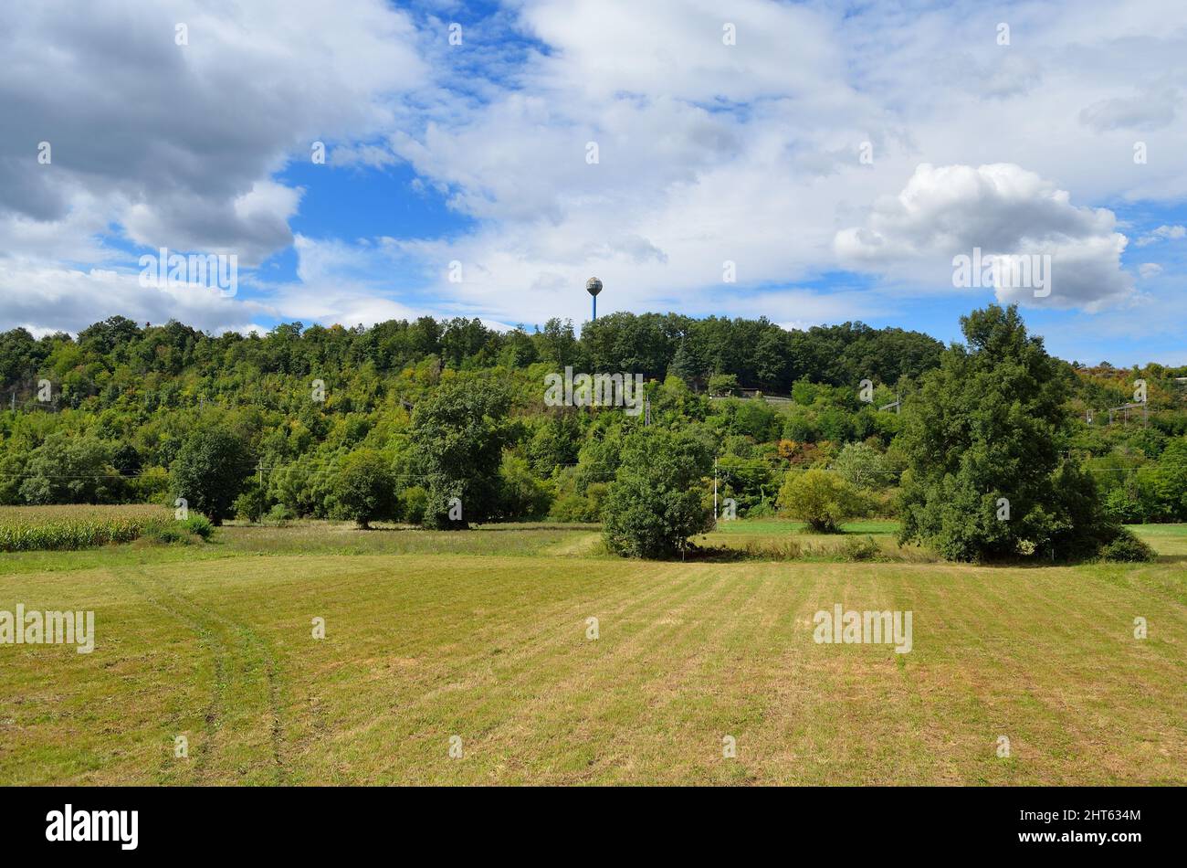 Beautiful view of green fields under the blue sky Stock Photo - Alamy