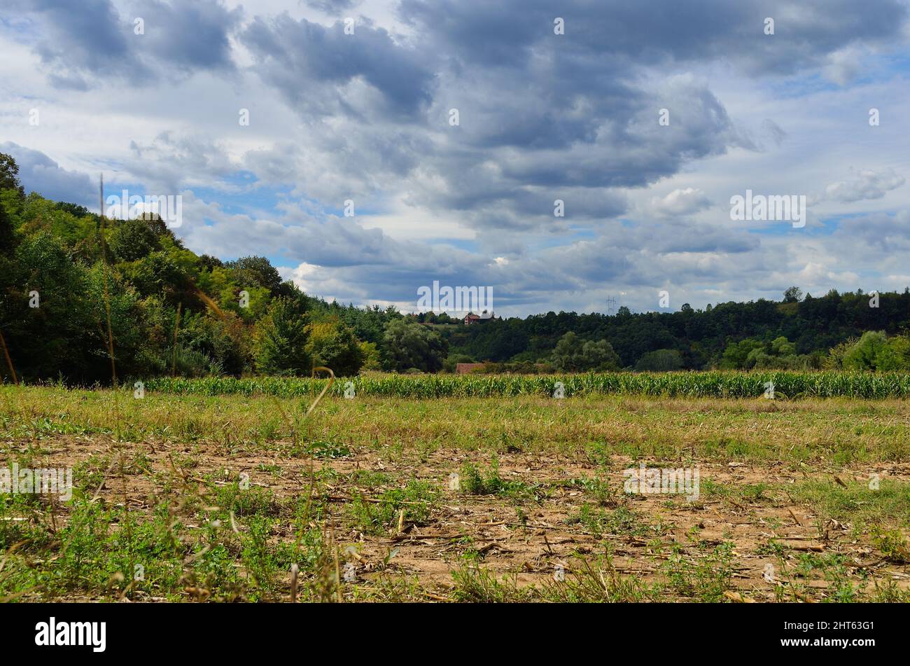 Beautiful view of green fields under the blue sky Stock Photo - Alamy