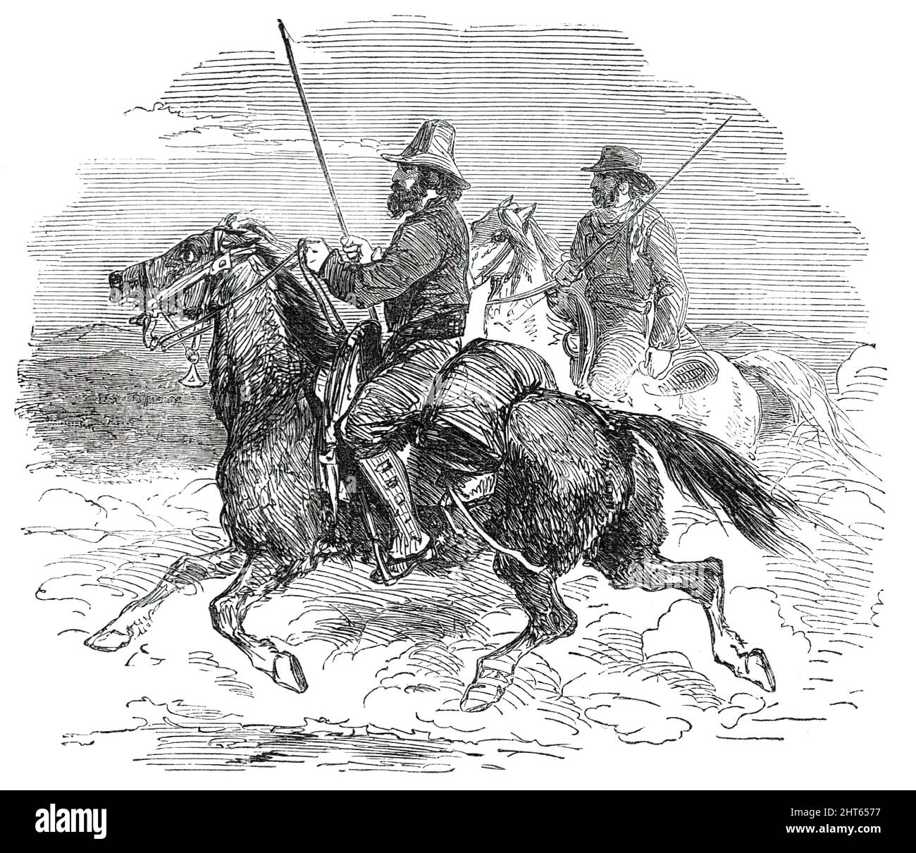 Cattle drover london hires stock photography and images Alamy