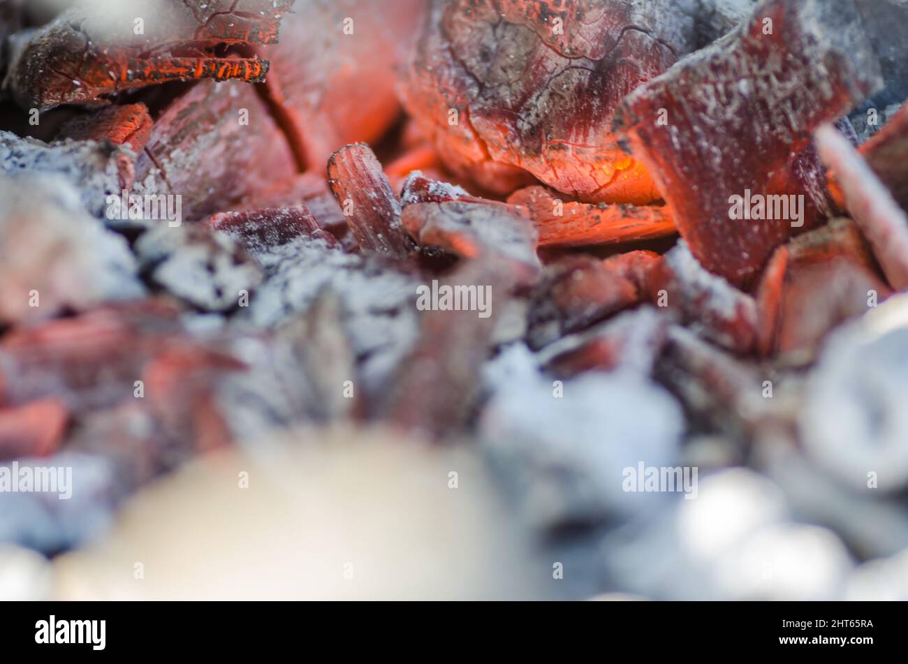 Close up burning forest fire hi-res stock photography and images - Alamy