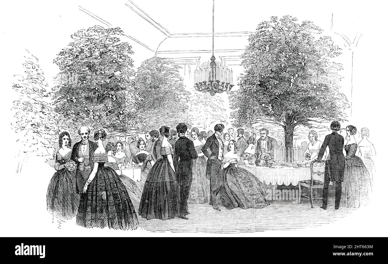 Thr Tea-Room, 1850. Festivities at Trentham Hall in Staffordshire, to celebrate the majority [reaching the age of 21] of the Marquis of Stafford. '...the Duke and Duchess have dispensed their hospitality to such an assemblage of birth and rank as this county does not often witness...The appearance of the &quot;Tea Room&quot; was most elegant and striking. Under four orange trees, of remarkable dimensions, the tea and coffee tables were set out, and on each of them, encircling each tree, were twenty-one candles, emblematic of the majority of the Marquis of Stafford, arranged on multangular plin Stock Photo