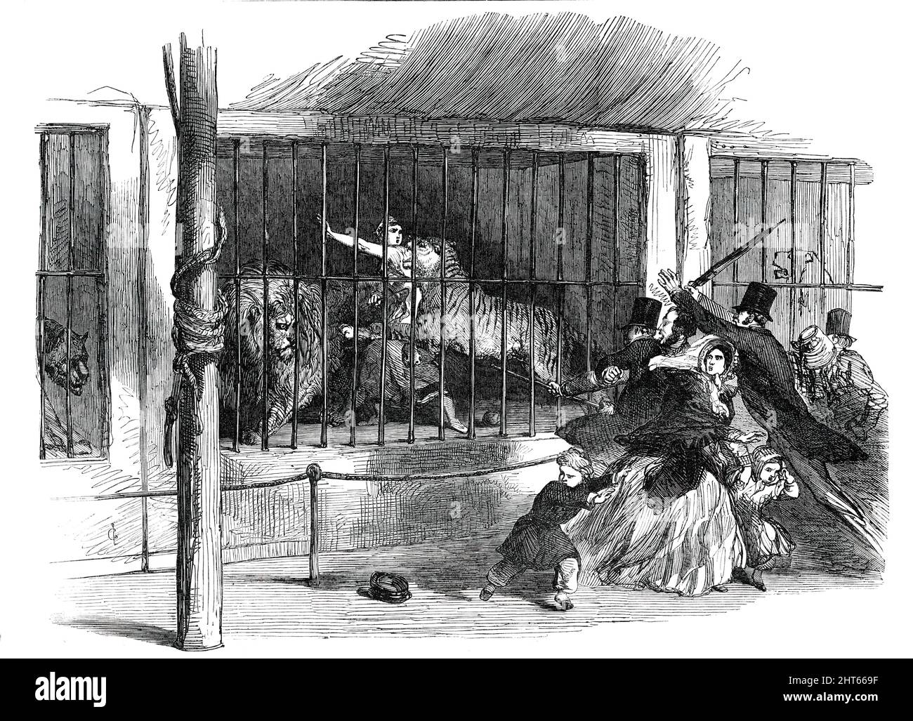 Death of the &quot;Lion Queen&quot;, in Wombwell's Menagerie, at Chatham [in Kent], 1850. 'It was the business of the deceased [17-year-old Ellen Blight] to go into the dens and perform with the beasts...She had only been in two or three minutes, but had gone through the main part of the performance, excepting that of making the lion sit down in a particular part of the cage, when the tiger being in her way, the deceased struck it lightly with a small whip which she carried in her hand. The beast growled, as if in anger, and, crouching close to the bottom of the den, stretched out its paw, as Stock Photo
