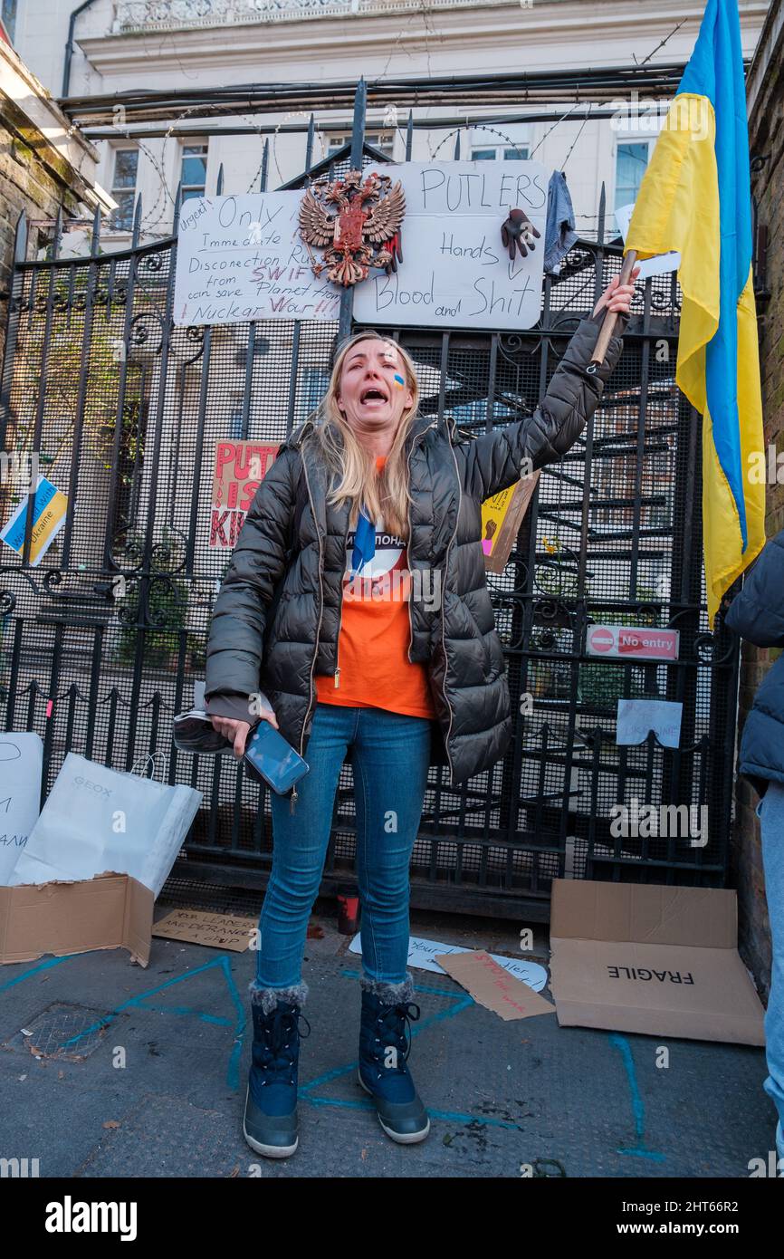 Ukrainian Protests Continue into the weekend, for now, it's 4th day, with  actions happening on Whitehall and outside the Russian Embassy in Notting  Hill Stock Photo - Alamy