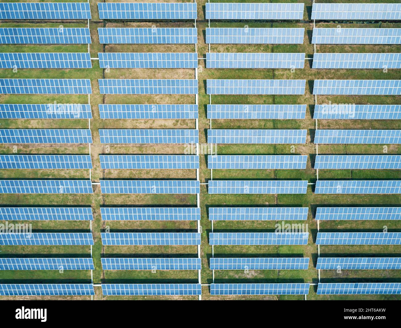 Aerial top down shot of solar panels farm on the green field. Renewable alternative green energy concept. Stock Photo