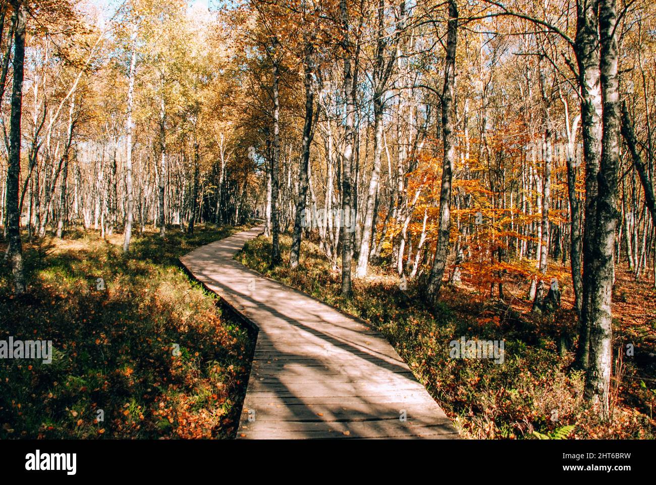 Sunny Autumn Day at Rotes Moor, Rhön Mountains, Germany Stock Photo