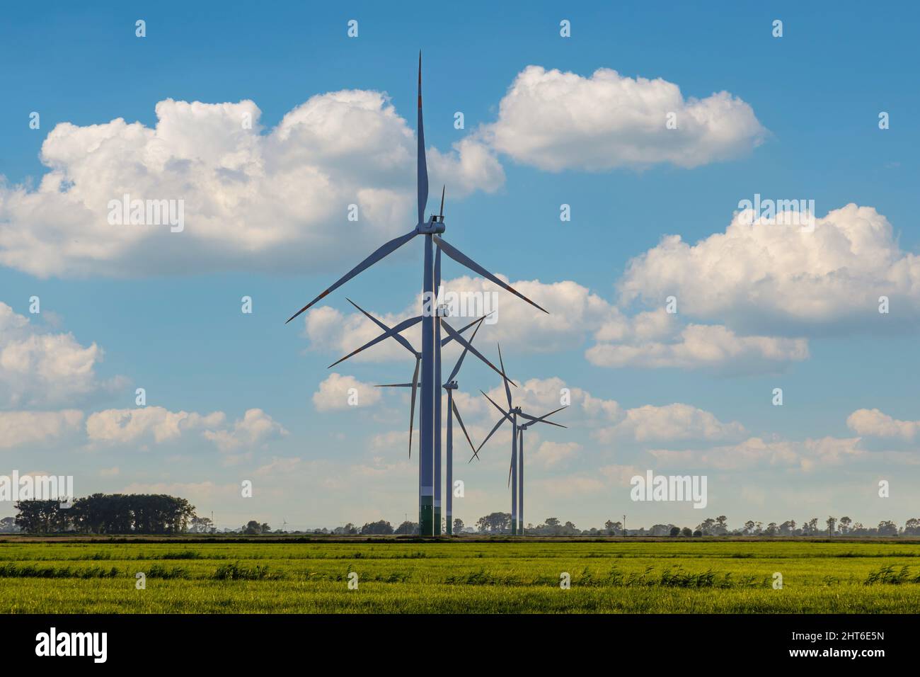 Windmill farm on green meadow, green energy production using wind power Stock Photo